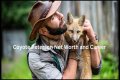 Unveiling The Secrets Of Coyote Peterson's Age: Discoveries And Insights